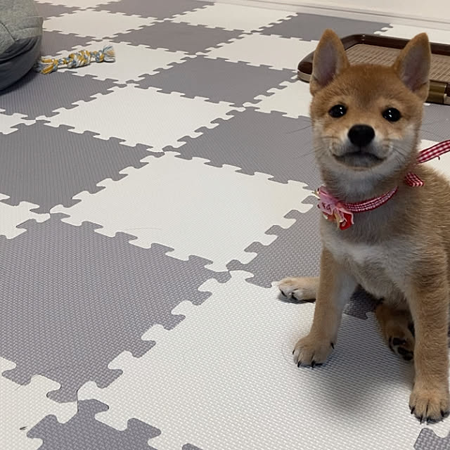 yumomitoさんの実例写真