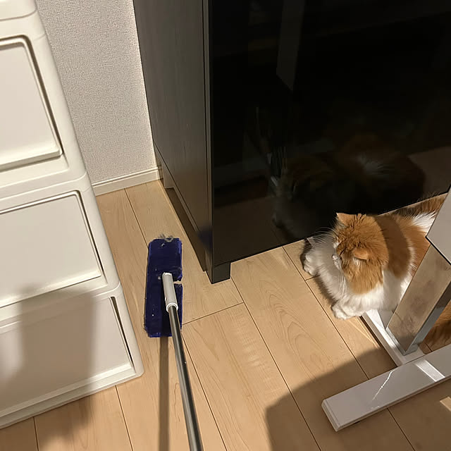 机/賃貸/2DK 賃貸/掃除しやすく/猫と暮らす家...などのインテリア実例 - 2025-04-18 19:28:02