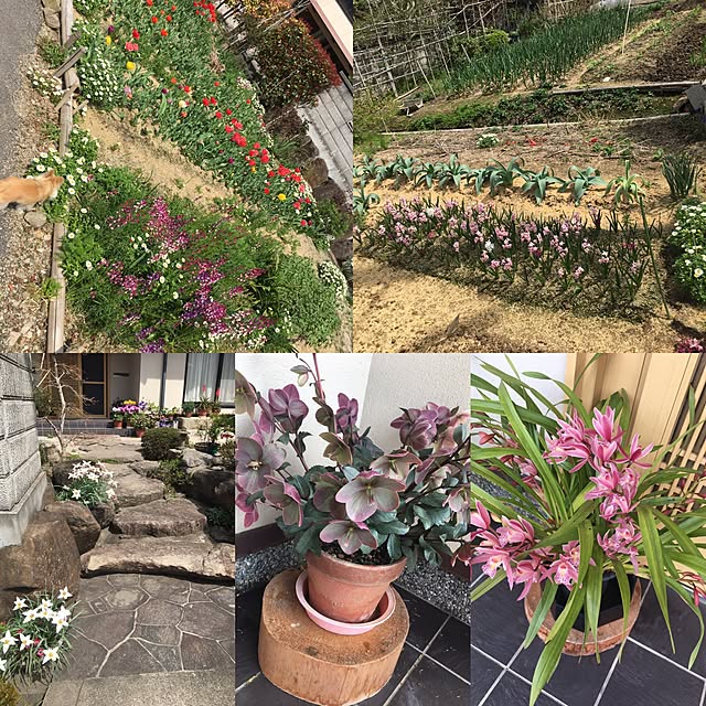 実例写真