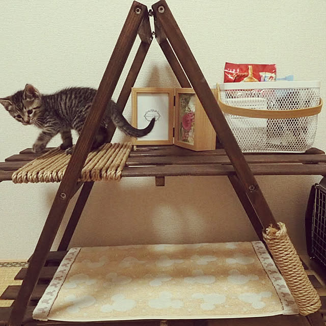 umeboshi08さんの実例写真