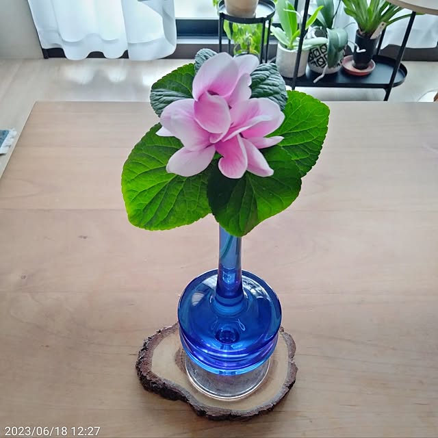 reko639さんの部屋