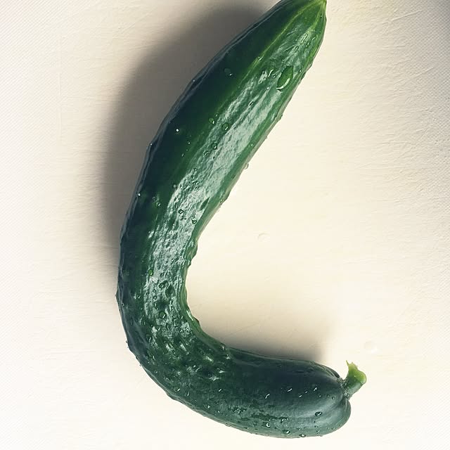 fumi_fufufuさんの実例写真