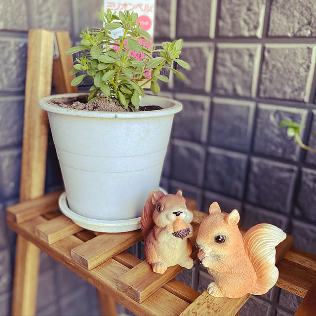 R.S.Kさんの実例写真