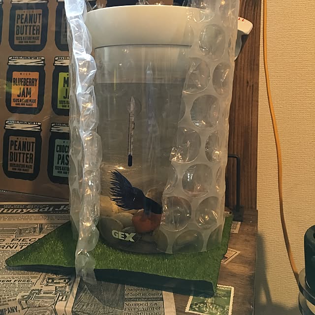 tetra163さんの実例写真