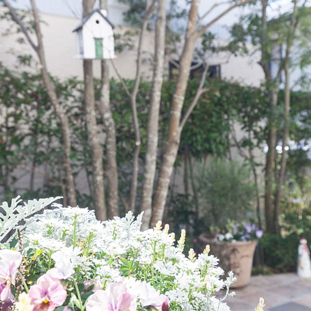 Yumiさんの実例写真