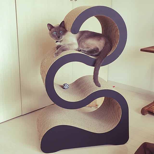 makikoさんの実例写真