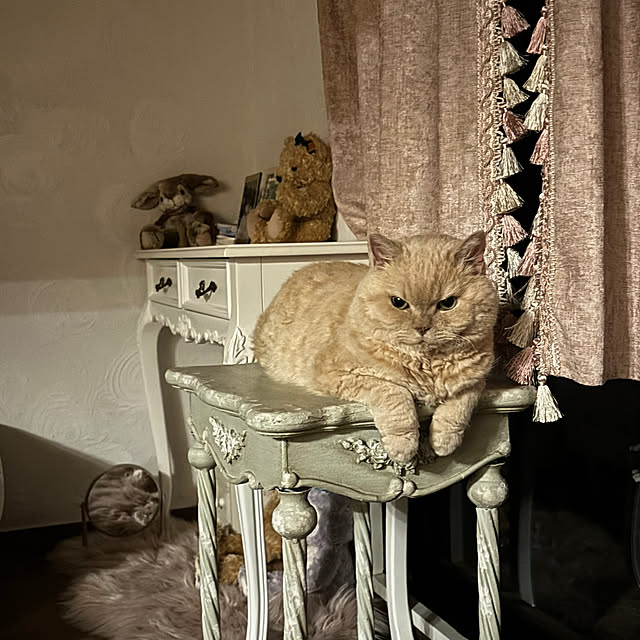 naokoさんの実例写真