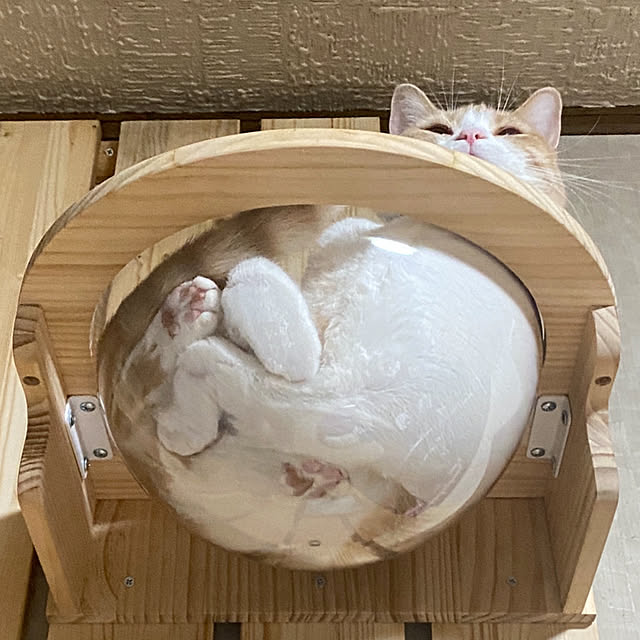 mintteaさんの部屋