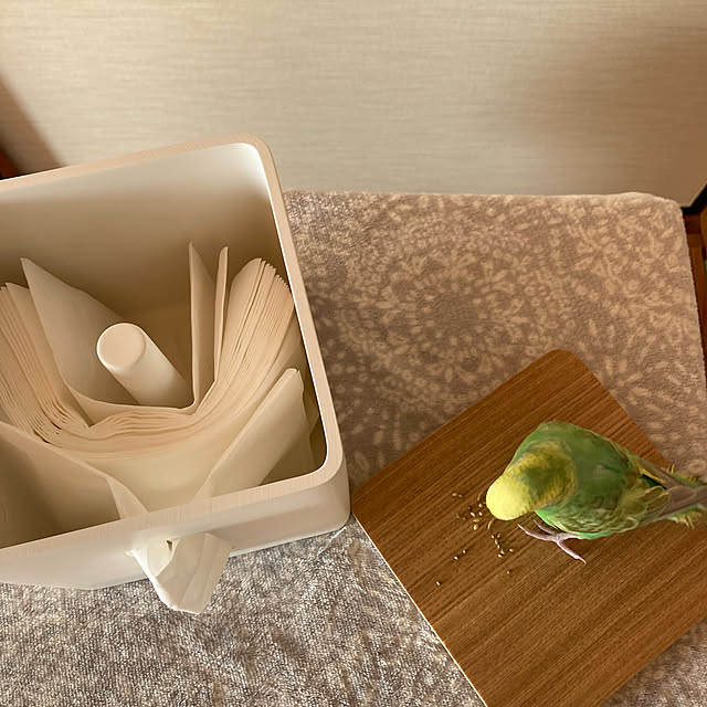 toratanさんの実例写真