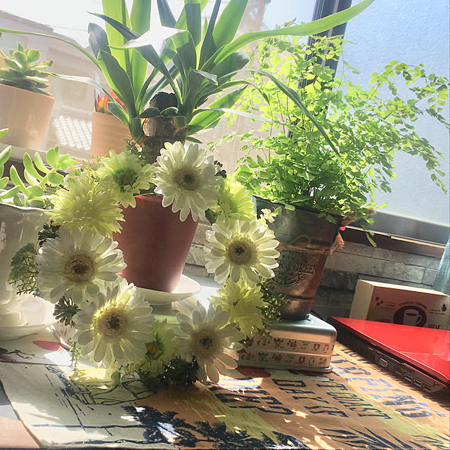 tututu0204さんの実例写真