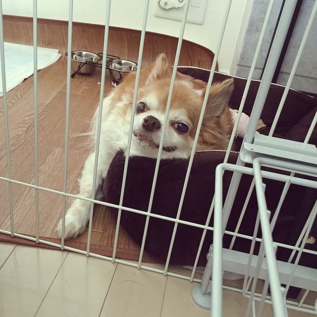 evitenさんの実例写真