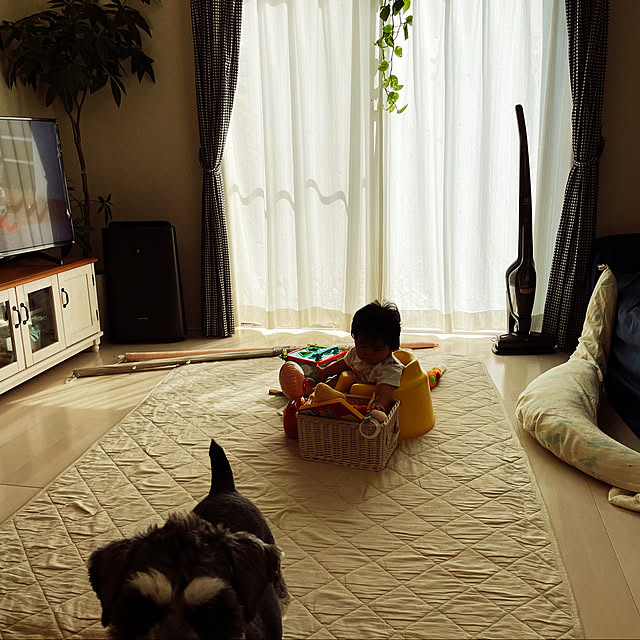 canさんの実例写真