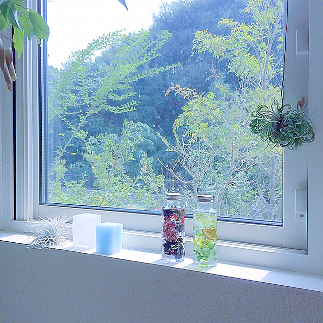 masami.hさんの実例写真