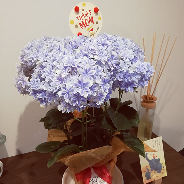 saichanさんの実例写真