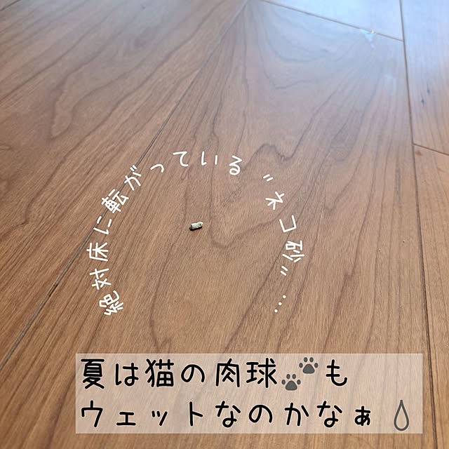 kankanmom_horn_5catsさんの部屋