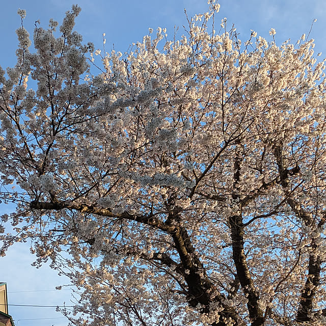 yukkin29さんの部屋