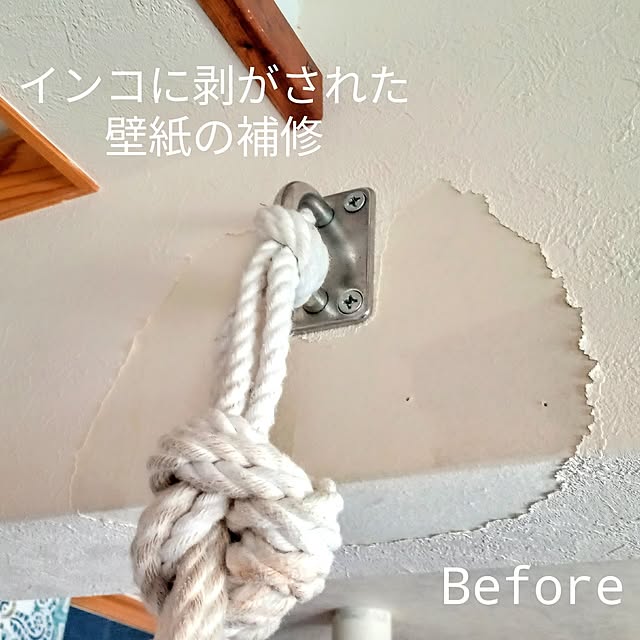 Miponappoさんの部屋