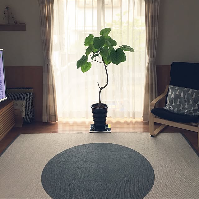 sorasoraさんの実例写真