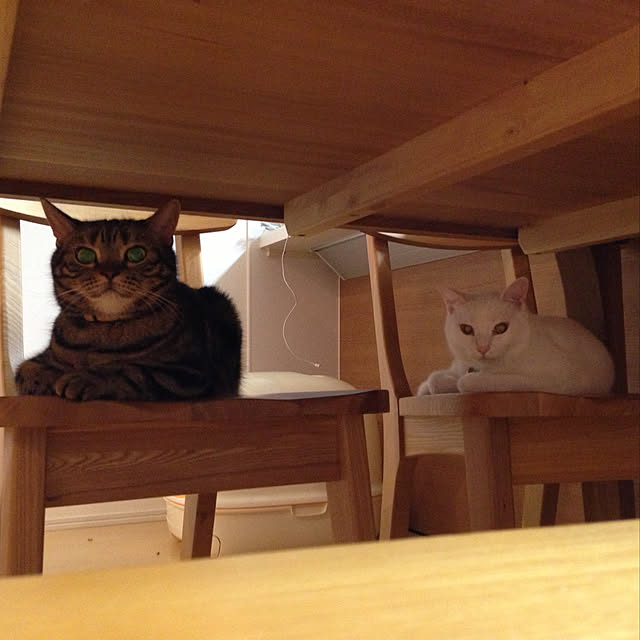 320さんの実例写真