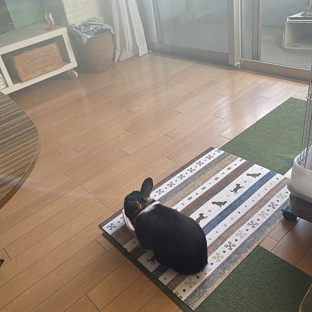 lanaさんの実例写真