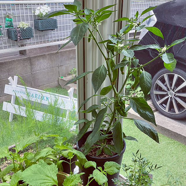 tararaさんの部屋