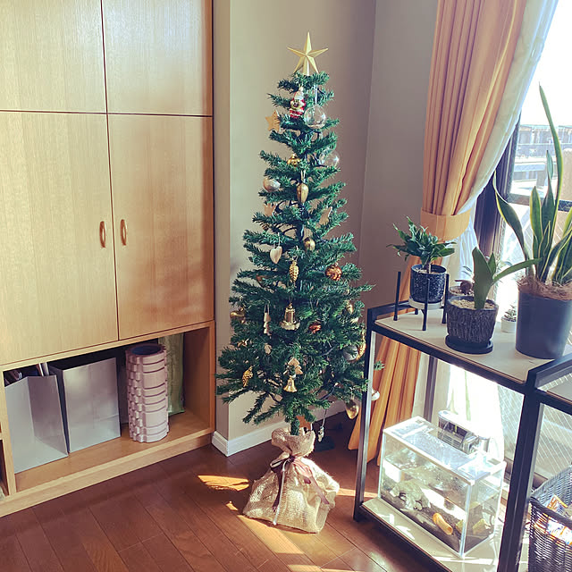 部屋全体/クリスマスディスプレイ/クリスマスツリー/クリスマス/子どもと暮らす...などのインテリア実例 - 2023-11-01 12:38:19