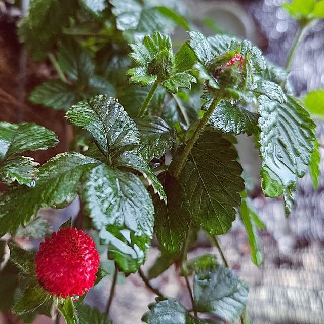 mocomocoさんの部屋