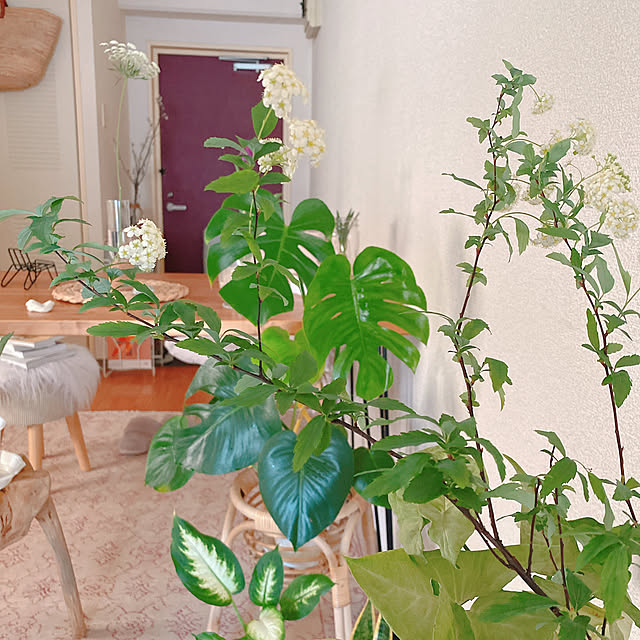 smallroomさんの部屋