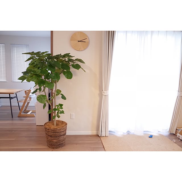 iimrinaさんの実例写真
