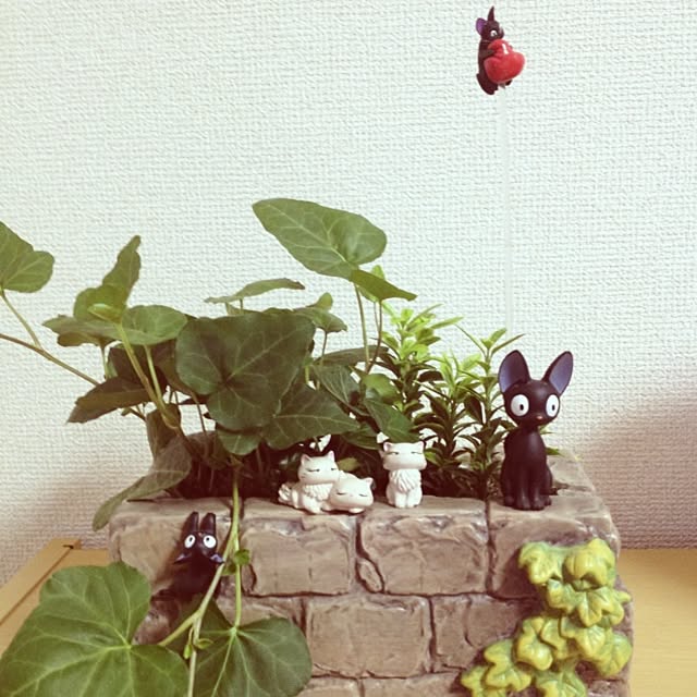 takaさんの実例写真