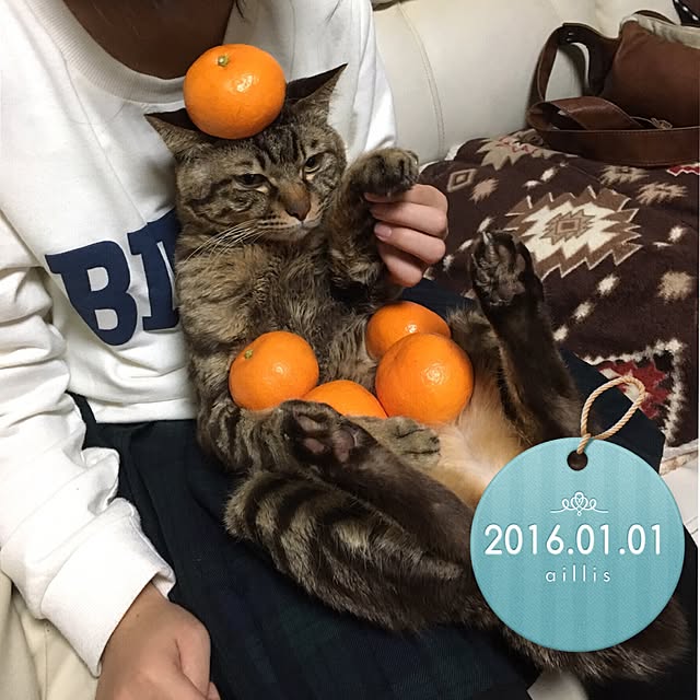 megkeiさんの実例写真
