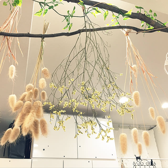 Sakura_hanaさんの実例写真