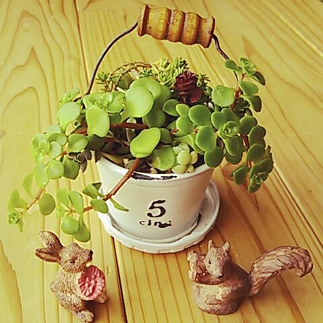na-miさんの実例写真