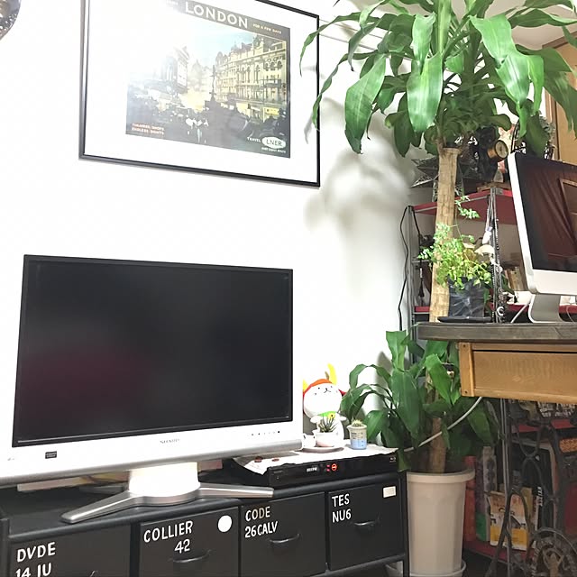 moechiさんの実例写真