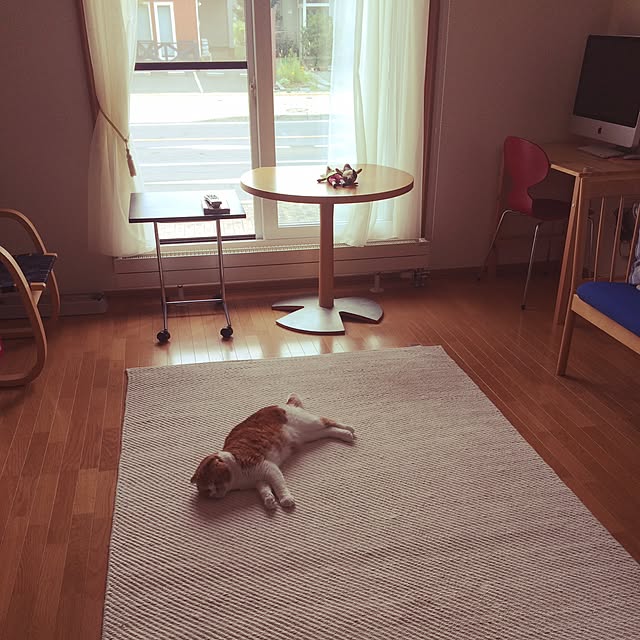 POCHIさんの実例写真