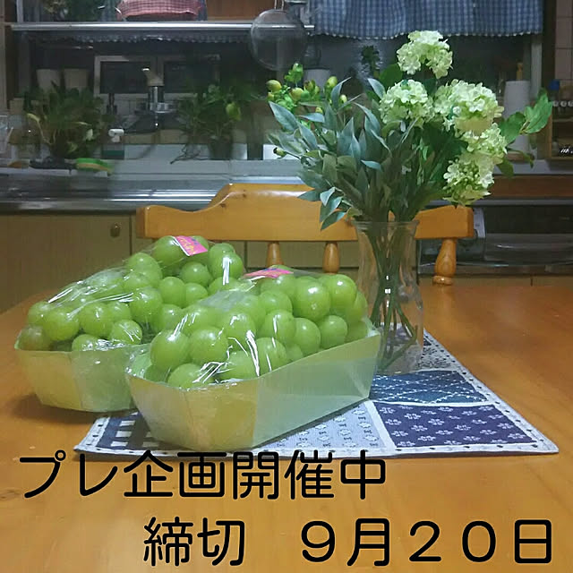 naopyiさんの実例写真