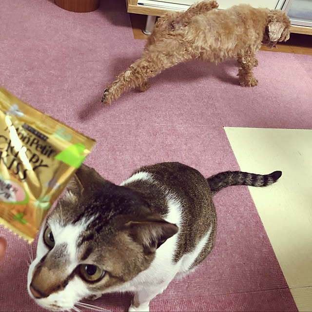 haruminさんの実例写真