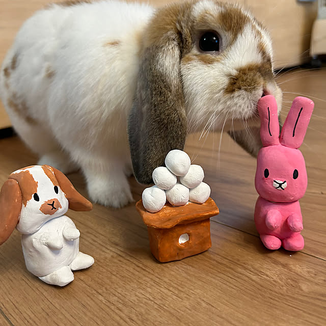 hiyokopanさんの実例写真