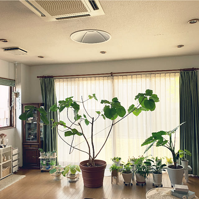 yumi.fさんの部屋