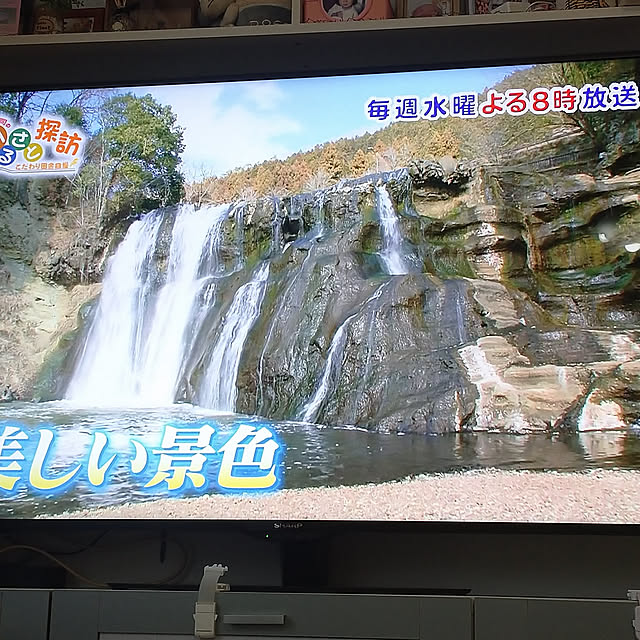 yasukoさんの実例写真