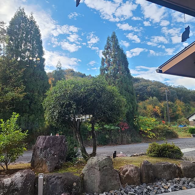 Rubiconさんの実例写真