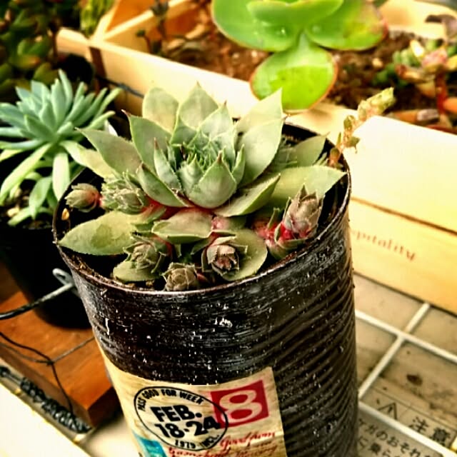R.and.iさんの実例写真