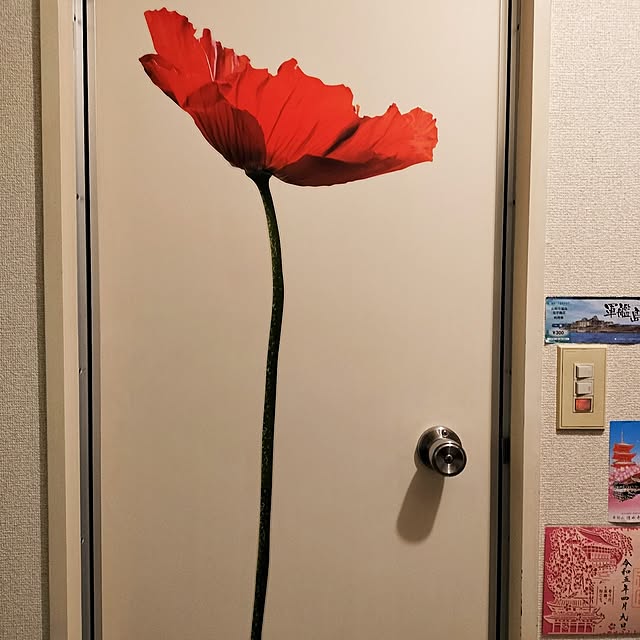 iara9さんの実例写真