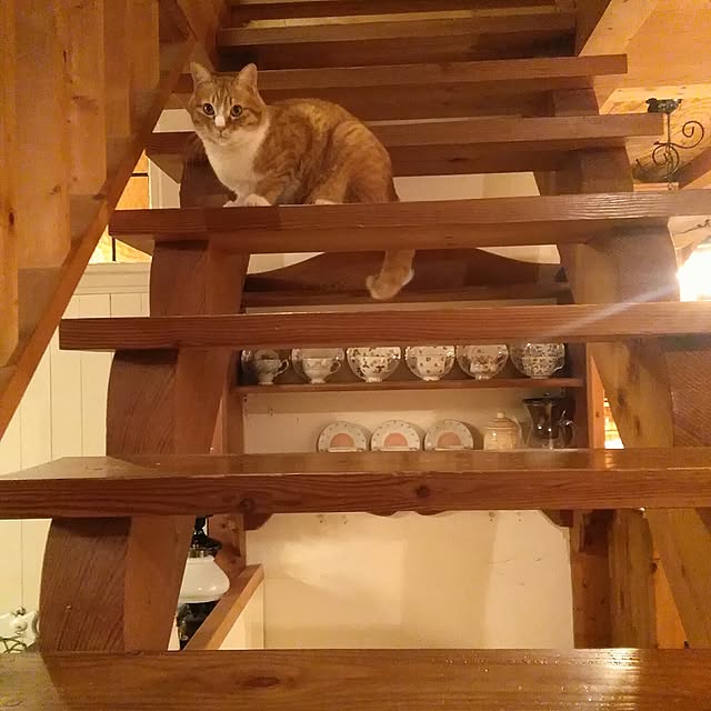 okaasanさんの実例写真