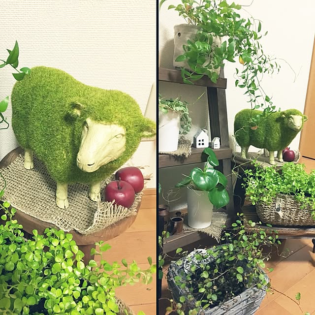 juboccoさんの実例写真