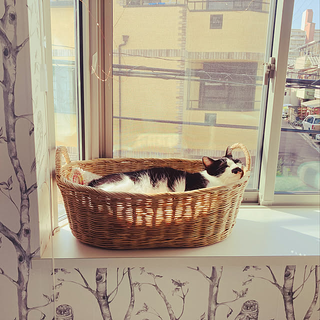 sakura_171220さんの実例写真