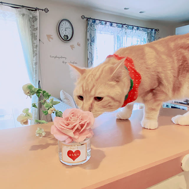 moolさんの部屋