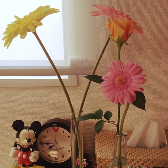 naoさんの実例写真