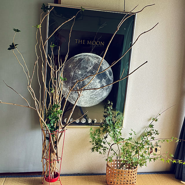 syutmmさんの部屋