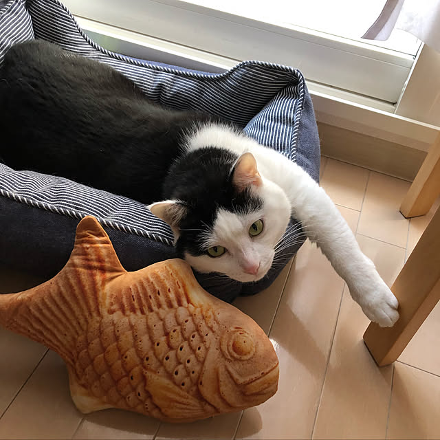 k.Iさんの実例写真